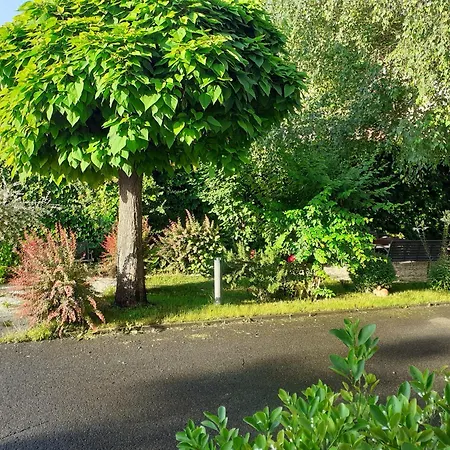 Oda ve Kahvaltı Oazis Panzio 4*