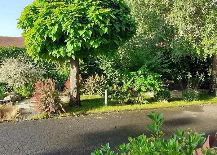 Oda ve Kahvaltı Oazis Panzio 4*